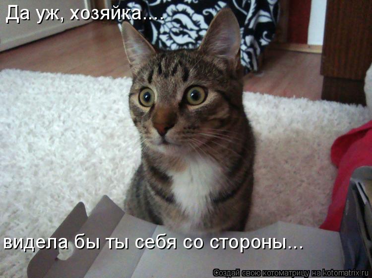 Котоматрица: Да уж, хозяйка.... видела бы ты себя со стороны...