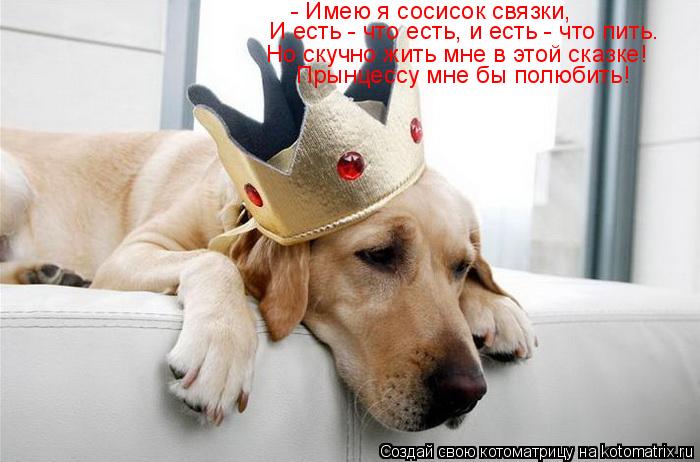 - Имею я сосисок связки, И есть - что есть, и есть - что пить. Но скучно жить мне в этой сказке! Прын... Котоматрица: - Имею я сосисок связки, И есть - что есть, и есть - что пить. Но скучно жить мне в этой сказке! Прынцессу мне бы полюбить!