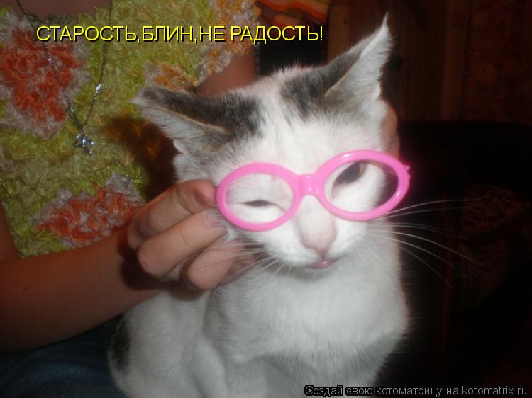 Котоматрица: СТАРОСТЬ,БЛИН,НЕ РАДОСТЬ!