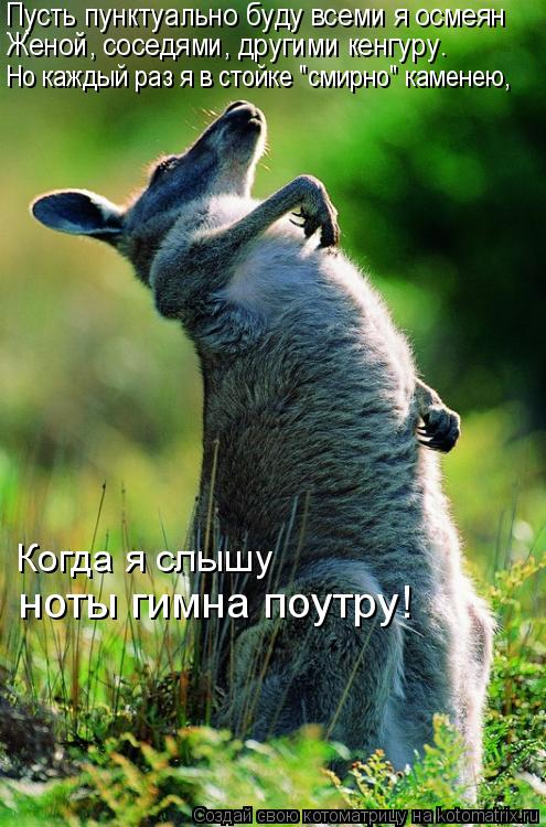 Пусть пунктуально буду всеми я осмеян Женой, соседями, другими кенгуру. Но каждый раз я в стойке "см... Котоматрица: Пусть пунктуально буду всеми я осмеян Женой, соседями, другими кенгуру. Но каждый раз я в стойке "смирно" каменею, Когда я слышу ноты гимна п