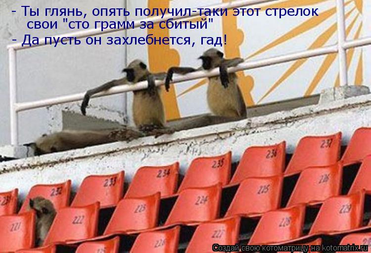 Котоматрица: - Ты глянь, опять получил-таки этот стрелок  свои "сто грамм за сбитый" - Да пусть он захлебнется, гад!