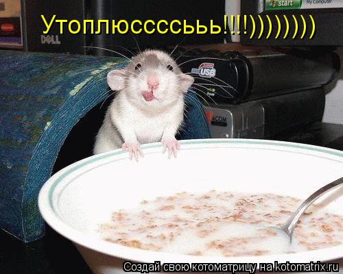 Утоплюссссььь!!!!))))))))... Котоматрица: Утоплюссссььь!!!!))))))))