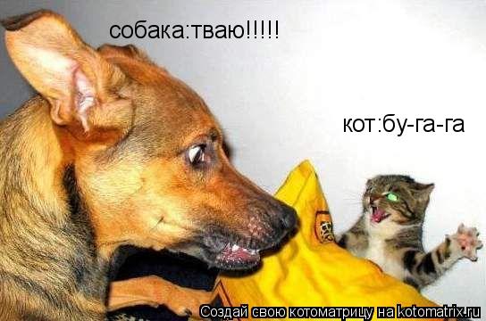 Котоматрица: кот:бу-га-га собака:тваю!!!!!