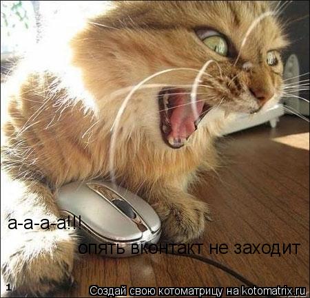 Котоматрица: a-a-a-a!!!   опять вконтакт не заходит