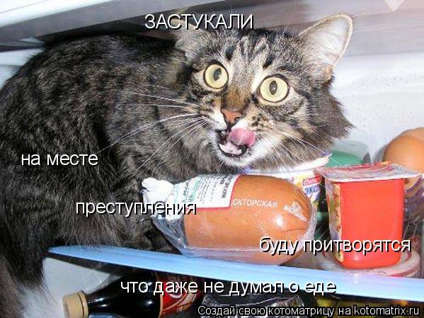 Котоматрица: ЗАСТУКАЛИ  на месте  преступления  буду притворятся что даже не думал о еде