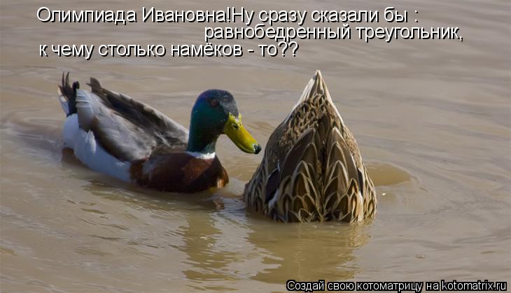 Олимпиада Ивановна!Ну сразу сказали бы : равнобедренный треугольник, к чему столько намёков - то??... Котоматрица: Олимпиада Ивановна!Ну сразу сказали бы : равнобедренный треугольник, к чему столько намёков - то??