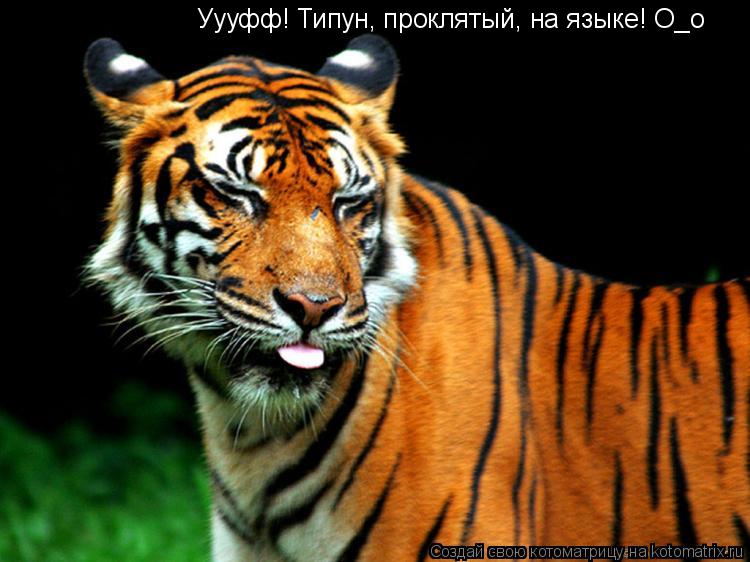 Уууфф! Типун, проклятый, на языке! О_о... Котоматрица: Уууфф! Типун, проклятый, на языке! О_о