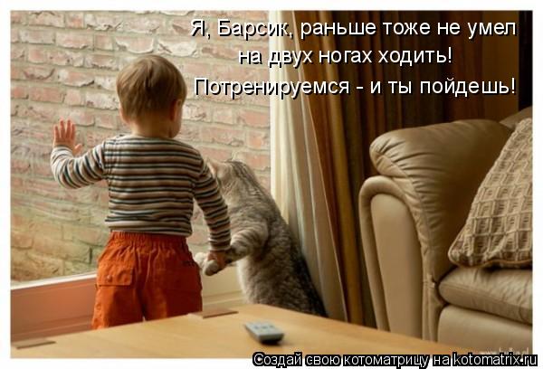 Я, Барсик, раньше тоже не умел на двух ногах ходить! Потренируемся - и ты пойдешь!... Котоматрица: Я, Барсик, раньше тоже не умел на двух ногах ходить! Потренируемся - и ты пойдешь!