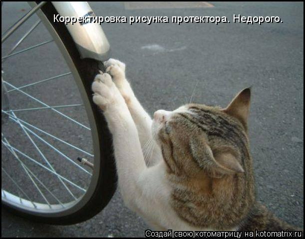 Котоматрица: Корректировка рисунка протектора. Недорого.