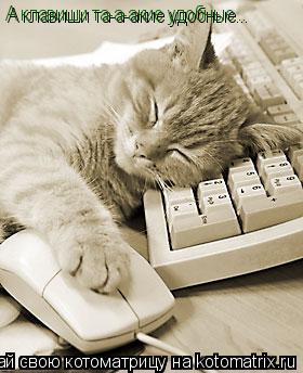 Котоматрица: А клавиши та-а-акие удобные...