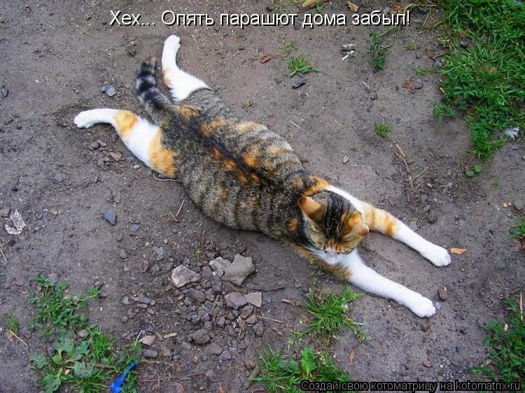 Котоматрица: Хех... Опять парашют дома забыл!