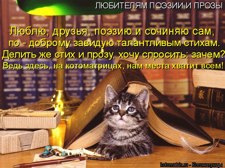 Люблю, друзья, поэзию и сочиняю сам, по - доброму завидую талантливым стихам. Делить же стих и прозу,... Котоматрица: Люблю, друзья, поэзию и сочиняю сам, по - доброму завидую талантливым стихам. Делить же стих и прозу, хочу спросить: зачем? ЛЮБИТЕЛЯМ ПОЭЗИИ И