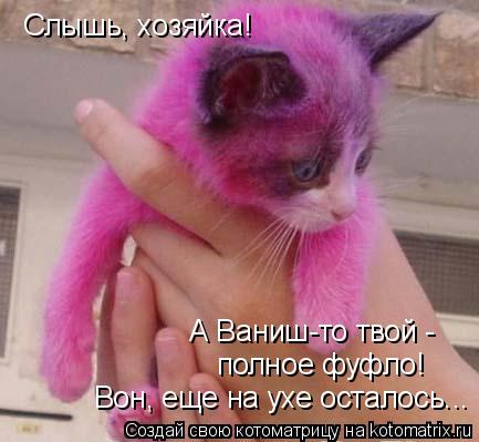 Котоматрица: Слышь, хозяйка! А Ваниш-то твой -  полное фуфло! Вон, еще на ухе осталось...