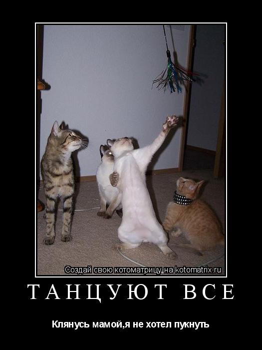 Котоматрица: Танцуют все Клянусь мамой,я не хотел пукнуть