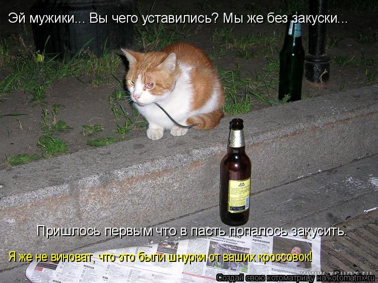 Котоматрица: Эй мужики... Вы чего уставились? Мы же без закуски... Пришлось первым что в пасть попалось закусить. Я же не виноват, что это были шнурки от ваш