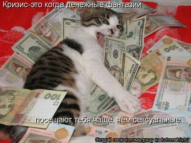 Котоматрица: Кризис-это когда денежные фантазии посещают тебя чаще, чем сексуальные....