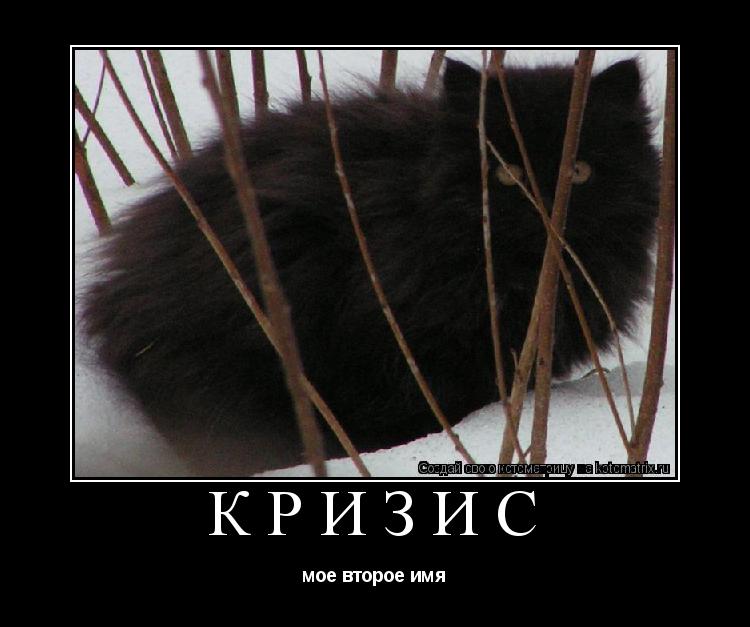Котоматрица: КРИЗИС мое второе имя