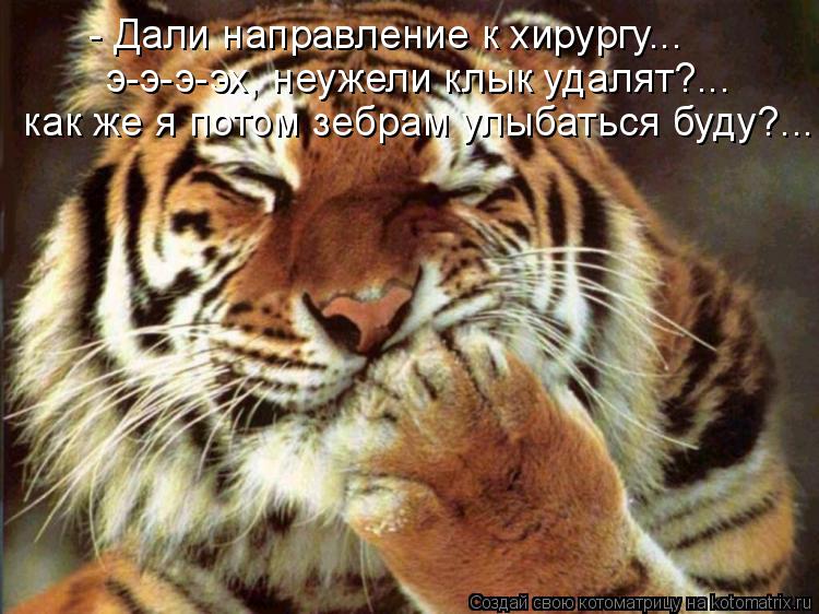 э-э-э-эх, неужели клык удалят?... как же я потом зебрам улыбаться буду?... - Дали направление к хирур... Котоматрица: э-э-э-эх, неужели клык удалят?... как же я потом зебрам улыбаться буду?... - Дали направление к хирургу...