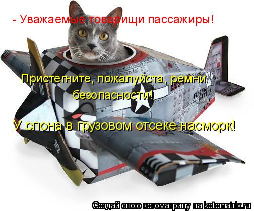 Котоматрица: - Уважаемые товарищи пассажиры! Пристегните, пожалуйста, ремни безопасности! У слона в грузовом отсеке насморк!