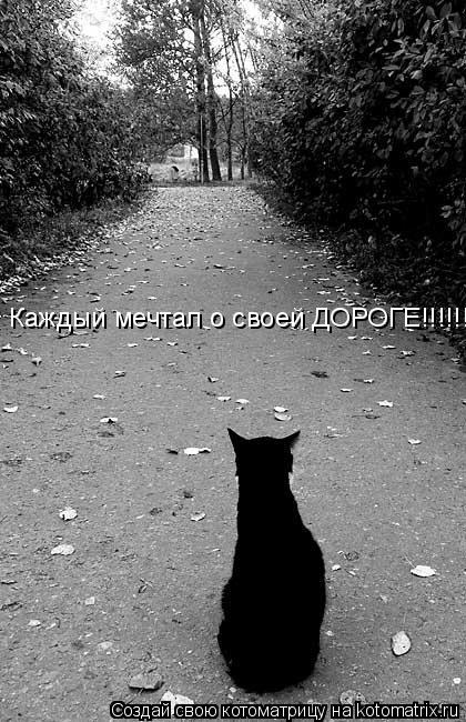 Котоматрица: Каждый мечтал о своей ДОРОГЕ!!!!!!!