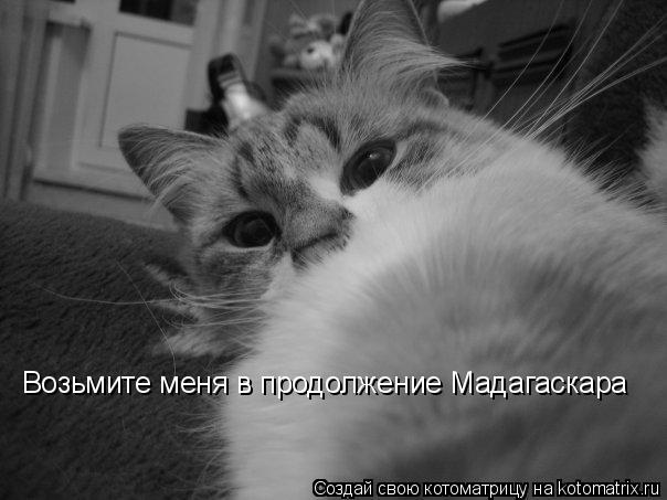 Возьмите меня в продолжение Мадагаскара... Котоматрица: Возьмите меня в продолжение Мадагаскара