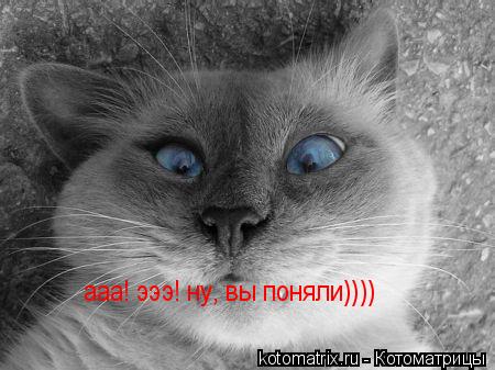 Котоматрица: ааа! эээ! ну, вы поняли))))