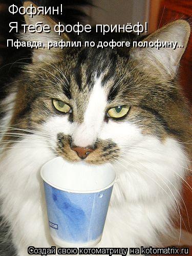 Котоматрица: Фофяин! Я тебе фофе принёф! Пфавда, рафлил по дофоге полофину...
