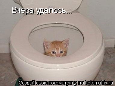 Котоматрица: Вчера удалось...