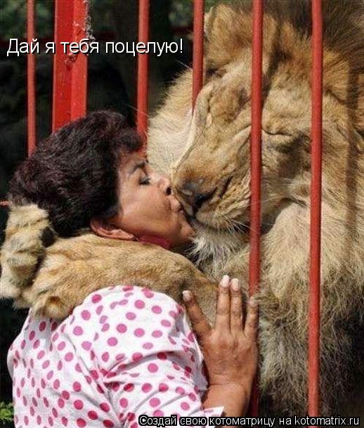 Котоматрица: Дай я тебя поцелую!