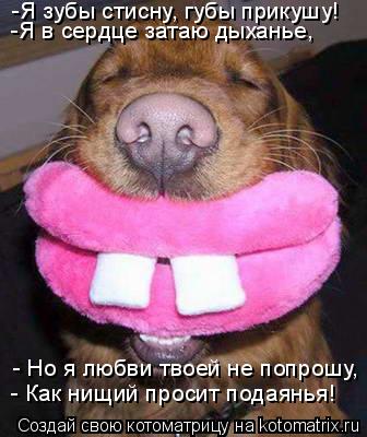 Котоматрица: -Я зубы стисну, губы прикушу!  -Я в сердце затаю дыханье,  - Но я любви твоей не попрошу,  - Как нищий просит подаянья!