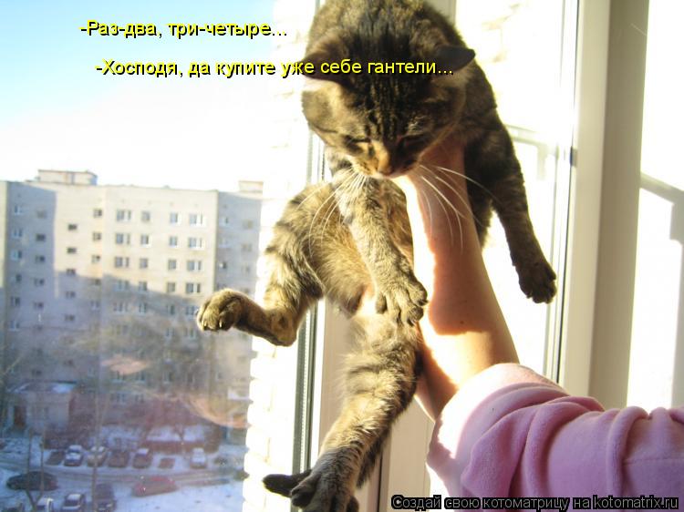 -Раз-два, три-четыре... -Хосподя, да купите уже себе гантели...... Котоматрица: -Раз-два, три-четыре... -Хосподя, да купите уже себе гантели...