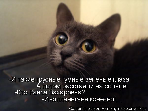 -И такие грусные, умные зеленые глаза А потом расстаяли на солнце! -Кто Раиса Захаровна? -Инопланетян... Котоматрица: -И такие грусные, умные зеленые глаза А потом расстаяли на солнце! -Кто Раиса Захаровна? -Инопланетяне конечно!...