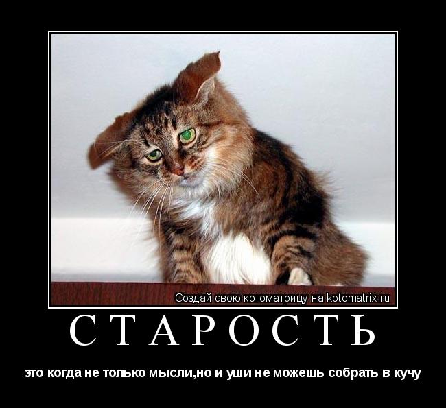 старость это когда не только мысли,но и уши не можешь собрать в кучу... Котоматрица: старость это когда не только мысли,но и уши не можешь собрать в кучу
