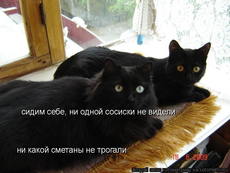 Котоматрица: сидим себе, ни одной сосиски не видели ни какой сметаны не трогали