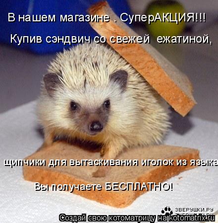 Котоматрица: В нашем магазине – СуперАКЦИЯ!!! Купив сэндвич со свежей  ежатиной, Вы получаете БЕСПЛАТНО! щипчики для вытаскивания иголок из языка