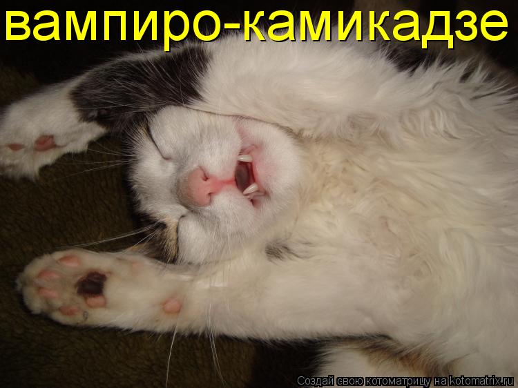 Котоматрица: вампиро-камикадзе