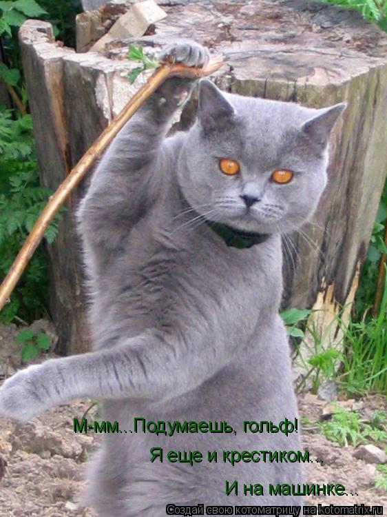 Котоматрица: М-мм...Подумаешь, гольф! И на машинке... Я еще и крестиком...
