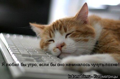 Котоматрица: Я любил бы утро, если бы оно начиналось чучуть позже!!!