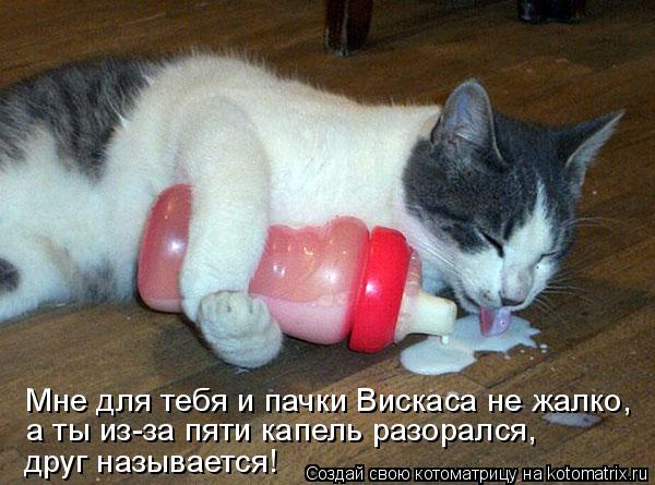 Котоматрица: Мне для тебя и пачки Вискаса не жалко, а ты из-за пяти капель разорался,  друг называется!