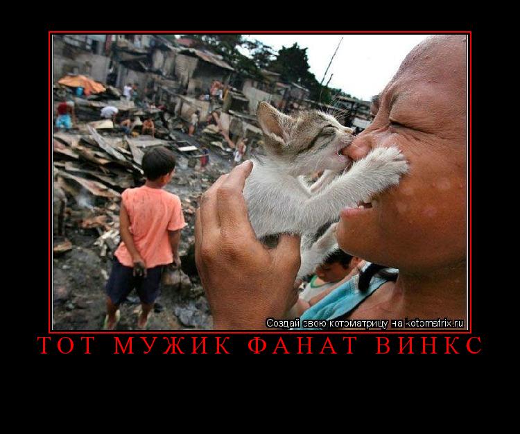 Котоматрица: тот мужик фанат винкс 