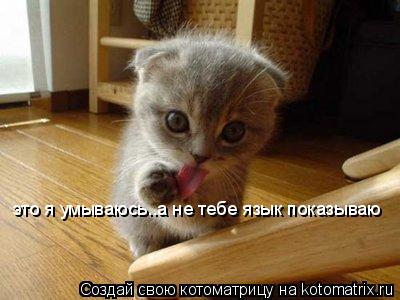 Котоматрица: это я умываюсь..а не тебе язык показываю