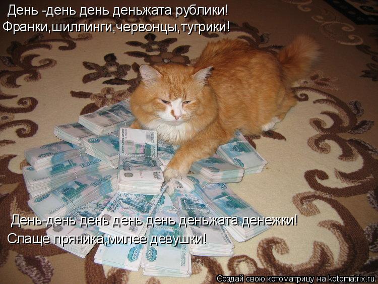 Котоматрица: День -день день деньжата рублики! Франки,шиллинги,червонцы,тугрики! День-день день день день деньжата денежки! Слаще пряника,милее девушки!