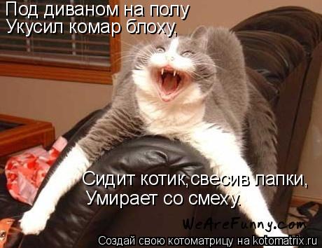 Под диваном на полу Укусил комар блоху, Сидит котик,свесив лапки, Умирает со смеху.... Котоматрица: Под диваном на полу Укусил комар блоху, Сидит котик,свесив лапки, Умирает со смеху.