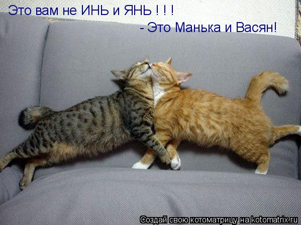 Котоматрица: Это вам не ИНЬ и ЯНЬ ! ! ! - Это Манька и Васян!