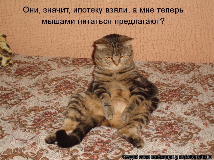 Они, значит, ипотеку взяли, а мне теперь мышами питаться предлагают?... Котоматрица: Они, значит, ипотеку взяли, а мне теперь мышами питаться предлагают?