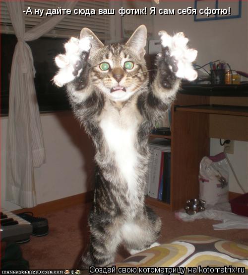 Котоматрица: -А ну дайте сюда ваш фотик! Я сам себя сфотю!