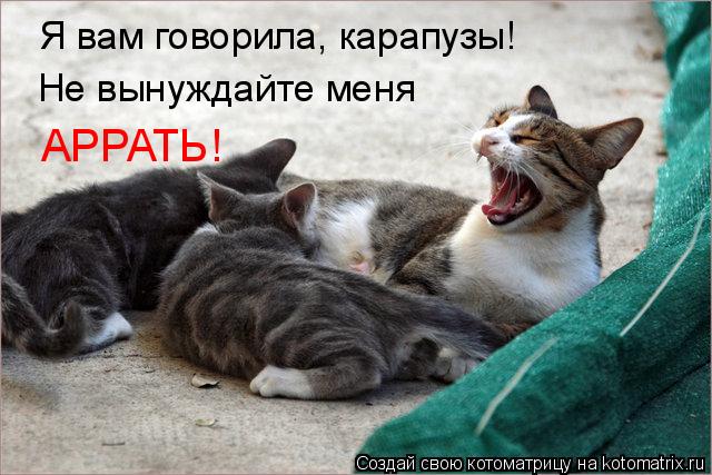 Я вам говорила, карапузы! Не вынуждайте меня АРРАТЬ!... Котоматрица: Я вам говорила, карапузы! Не вынуждайте меня АРРАТЬ!