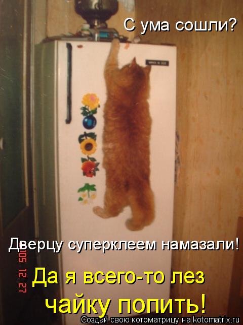 Котоматрица: чайку попить! Да я всего-то лез Дверцу суперклеем намазали! С ума сошли?
