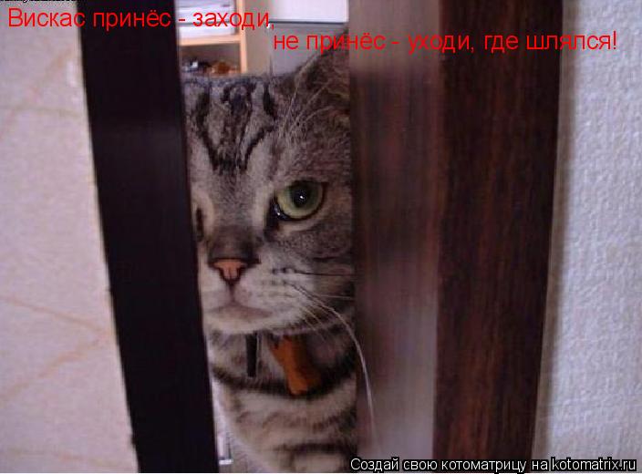 Вискас принёс - заходи, не принёс - уходи, где шлялся!... Котоматрица: Вискас принёс - заходи, не принёс - уходи, где шлялся!