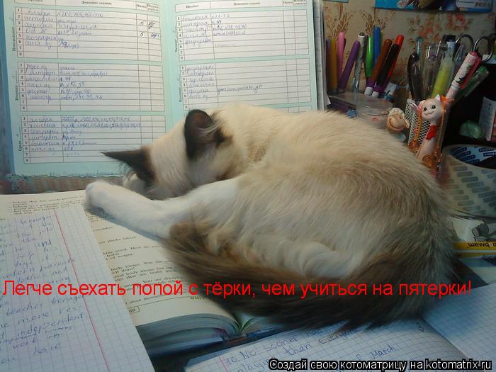 Котоматрица: Легче съехать попой с тёрки, чем учиться на пятерки!  Легче съехать попой с тёрки, чем учиться на пятерки!
